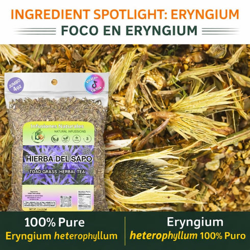 4 oz (113g) 100% Hierba del Sapo Herbal Tea - Natural Mexican Thistle (Eryngium heterophyllum) - Traditional Loose Leaf