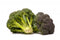 FRESH BROCCOLI At The Neigthborhood Corner Store BROCCOLI FRESH PRODUCE FRUIT VEGETABLES EACH BUNDLE