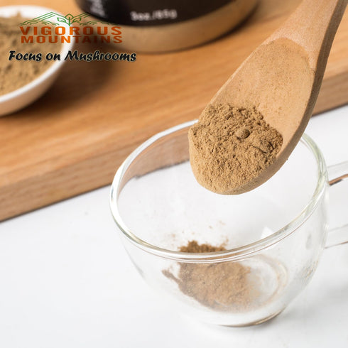 VIGOROUS MOUNTAINS Dried Porcini Mushroom Seasoning Powder, Salt Free Beef Broth Powder, 3 OZ