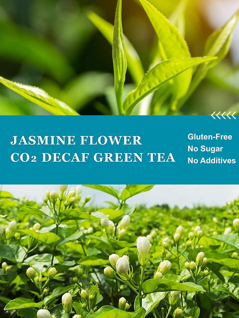 120 Count HYNTMYT Decaffeinated Jasmine Green Tea Bags, CO Decaf Green Tea Scented with Jasmine Flower, Natural Floral