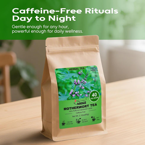 40 FullChea - Motherwort Tea, Teabags - Premium Dried Motherwort Herb - Non-GMO - Caffeine-Free - Your Ideal Tea Break