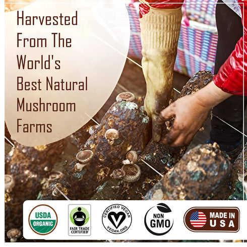 100% 5 Immunity, 35 La Republica Instant Mushroom Coffee Organic Arabica Coffee with Lions Mane, Reishi & More