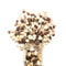 NY SPICE SHOP Yogurt Trail Mix with Mixed Nuts - Dried Fruit