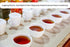 Cha4TEA 100-Count Pack 2 Variety Tea, Compatible with Keurig Brewers, Includes Green, Black, Jasmine, Earl Grey