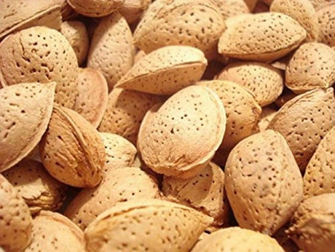 (1 Lb.) Natural In Shell Raw California Almonds - Pure Goodness Bursting with Natural Flavors - Vegan & Keto Friendly