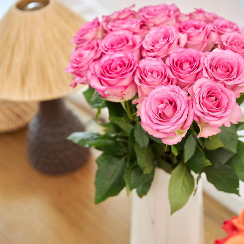 Falcon Farms Inc 18 Pink Roses Bouquet Fresh Cut Flowers-Lasting Roses for Gifts, Birthdays & Anniversaries .