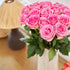Falcon Farms Inc 18 Pink Roses Bouquet Fresh Cut Flowers-Lasting Roses for Gifts, Birthdays & Anniversaries .