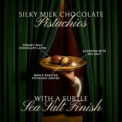 17.6 oz, Pack Snackathon Milk Chocolate Covered Pistachios with Sea Salt, Creamy Pistachio Milk Chocolate Indulgence