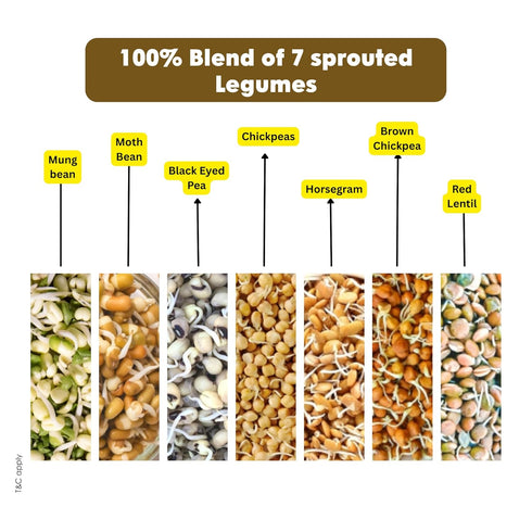 Ecomytra 100% (24g) 1lb (454 Sprouted Super Legumes Mix Flour Gluten Free & High Protein Plant Based Blend of Sprouted