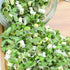 UpBots 2.1oz. Dried Scallions Dehydrated Chopped Scallions And Dried Vegetables