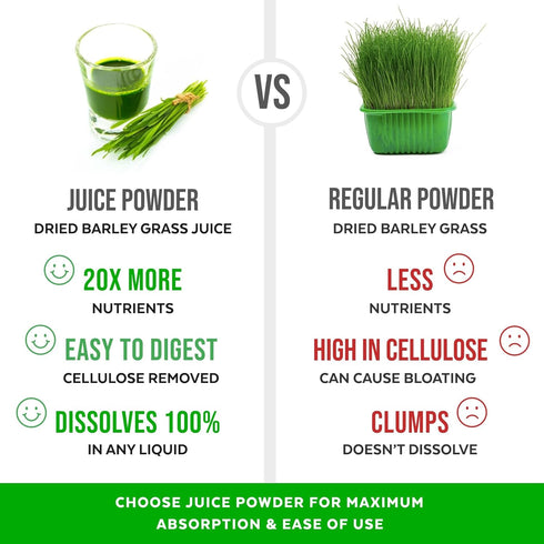 Numami Organic Barley Grass Juice Powder, Grown in USA, Pure Raw and Water Soluble, Add to Your Smoothie or Drink as a