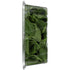 Satur Farms 5 OZ Baby Spinach Salad