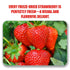 16 Oz Frozen Freeze-Dried Whole Strawberries - Dehydrated Fruit - No Sugar Added, No Additives - Premium Natural