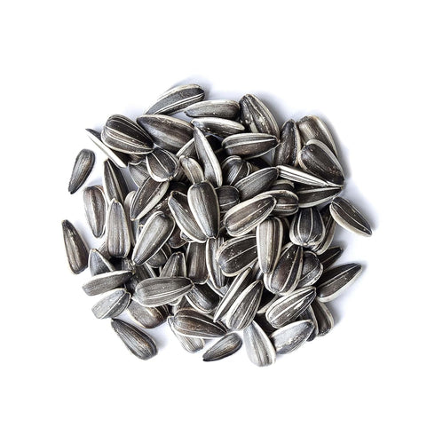 5 Food to Live Raw Sunflower Seeds in Shell, Pounds Fresh, Crunchy and Nutty Snack for on-the-go, Preservative-free