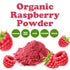 1 Food to Live Organic Raspberry Juice Powder, Pound Non-GMO, Raw, Vegan, Bulk, Rich in Essential Amino Acids, Fatty