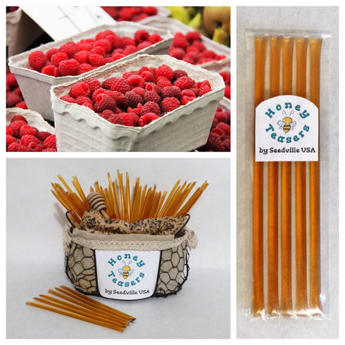 5 Pack New RASPBERRY HONEY TEASERS Natural Honey Snack Sticks Honeystix Straws