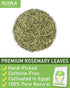 1.5g 60 Count Olvvla - Rosemary Tea Bags - X - Pure Natural Dried Rosemary Leaves - Cultivated in Egypt - Non-GMO