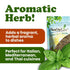 12 Food to Live - Organic Basil Leaves, Ounces Dried & Cut. Great for Pizzas, Pesto, Soups, Sauces, Salads and Herbal