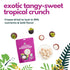(Pack 3) NOKKI FARM Freeze Dried Mangosteen - Healthy & Exotic Tropical Fruit Snacks, No Added Sugar or Preservatives