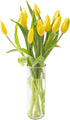 KaBloom - Bouquet of Fresh 10 Yellow Tulips with Vase - Fresh