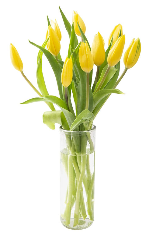 KaBloom Bouquet of Fresh Yellow Tulips with Vase (Farm-Fresh, Cut-to-Order and Homegrown