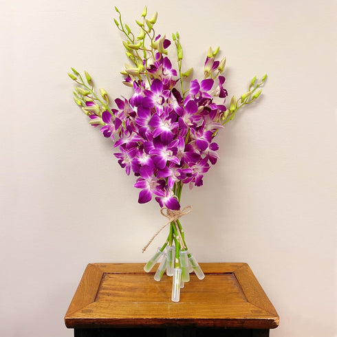 10 Athenas Garden Fresh Cut Orchids Purple Stems Sonia Dendrobium Orchids Flowers with Vase and Rocks