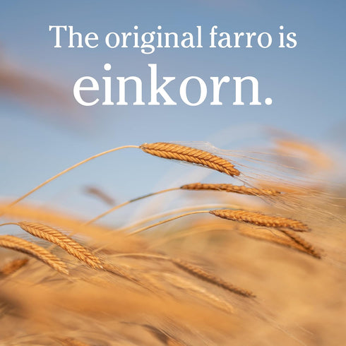 100% 16 Oz, 3 Pack Jovial Einkorn Organic Wheat Berries - Einkorn Berries, Organic Farro, High Protein, Non-GMO, USDA