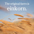 100% 16 Oz, 3 Pack Jovial Einkorn Organic Wheat Berries - Einkorn Berries, Organic Farro, High Protein, Non-GMO, USDA