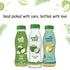 NWIL (Pack 6, 200ml Paper Boat Coconut Water, Refreshing Coconut Flavour, Vital Minerals of Each)