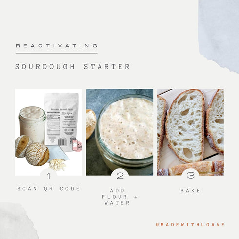5g Dehydrated Sourdough Starter by Made With Loave | INCLUDES Recipe | Beginner Friendly | As Seen On TikTok |