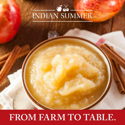 Summer Packed 4 4 Indian Single Serve Cinnamon Apple Sauce, Individually Applesauces, Single Cups, Ounces Each