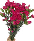 19 dark pink mini Carnations Hydroponic Flower Arrangement Gifts for home decoration birthdays anniversaries healing