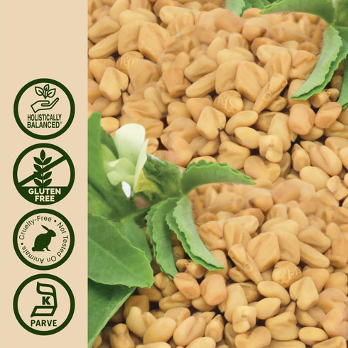 2 Nature's Answer Fenugreek Seed with Organic Low Alcohol Fluid Ounce | Female Reproductive Support | Aid For Mothers |