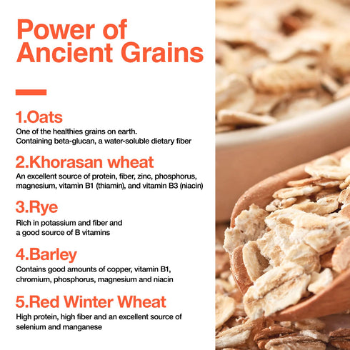 5 Wholly Moly! Grains Cereal, Multi-Grain Oatmeal of rye, barley, oats, wheat and Khorasan wheat, High Fiber, No Sugar