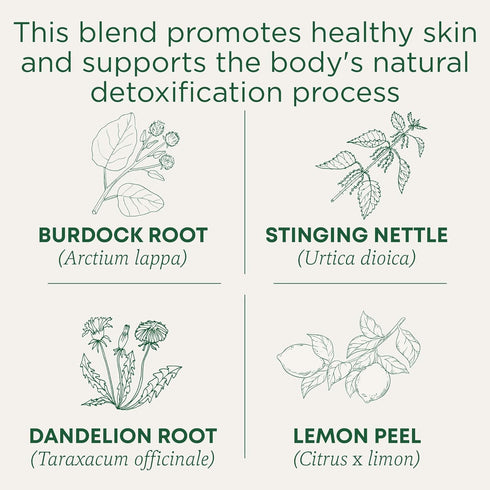 96 (Pack 6) Traditional Medicinals Tea, Organic EveryDay Detox Lemon, Supports Healthy Skin & Liver Function, Detox