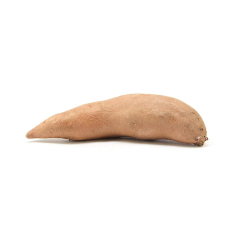 Fresh Produce Potato Sweet White Organic
