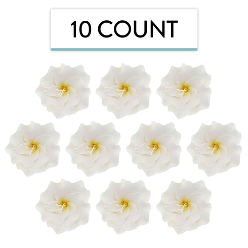 1.75 Inch 10 Count Global Sugar Art Azalea Sugar Cake Flowers White with Wire and Stamen, by Chef Alan Tetreault
