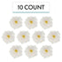 1.75 Inch 10 Count Global Sugar Art Azalea Sugar Cake Flowers White with Wire and Stamen, by Chef Alan Tetreault