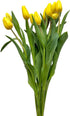 20 Next day delivery Yellow Tulips Fresh Cut Flowers Wheat Field Bouquet Gifts for home decoration birthdays friendship