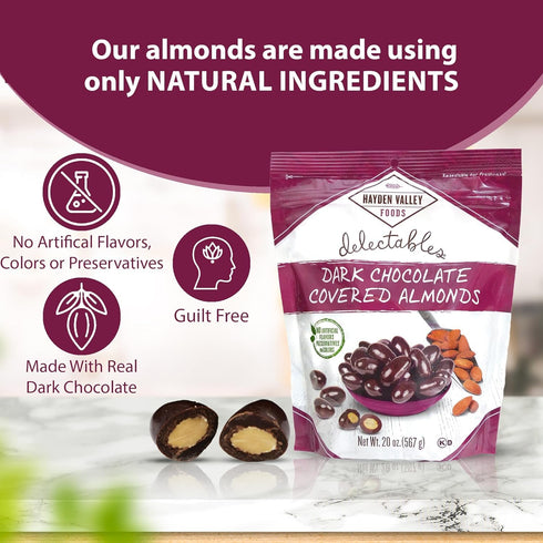 20 oz Hayden Valley Foods Dark Chocolate Covered Almonds | Resealable Bag | No Artificial Flavors, Preservatives