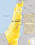 750mL 2025/6 100% Holy Land Goods Palestinian Extra Virgin Levantine Olive Oil Polyphenol Rich, Harvest, glass bottle