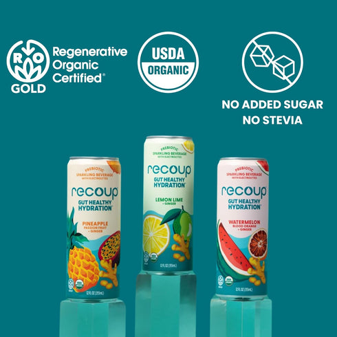 ((Pack 12), Recoup Organic Sparkling Prebiotic Drink - Ginger with Electrolytes for Gut Health Support & Hydration, No