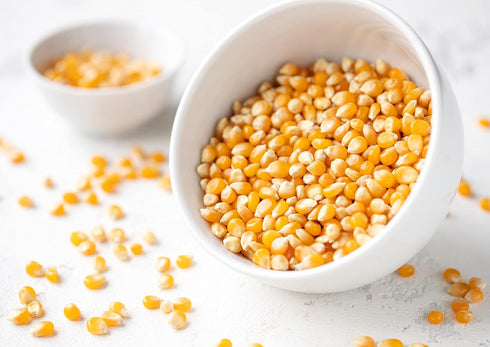 7 100% Food to Live Organic Yellow Popcorn, pounds Non-GMO Corn Kernels, Whole Grain, No Additives, No Preservatives