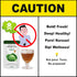 (3.04 oz 30 TerraPick Green Cabbage Juice Sweetened with Manuka Honey - Natural Cabbage Extract Juice Vegetable Juice