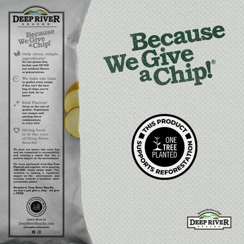 2 (Pack 24) Deep River Snacks Original Sea Salt Kettle Cooked Potato Chips, Ounce