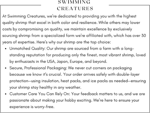 Swimming (5 5 Creatures Premium Neocaridina Shrimp Fun Two-Color Combo for a Vibrant Aquarium Blue Velvet & Snow Ball)