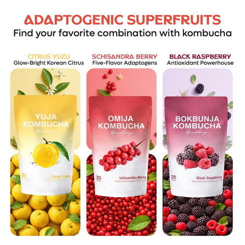 Packets Pack 21T Packets DALAMHARI Kombucha Powder | Variety | Sparkling Probiotic Kombucha Drink for Gut Health Ade