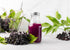 Powder,12 Food to Live Black Elderberry Juice Ounces - Raw Dried Berries, Unsulfured, Vegan, Bulk, For Baking, Juices