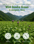 3.5 oz (100g), setidens), NICE WITCH'S Dried Gondre Leaves Korean Mountain Vegetable (Cirsium Bibimbap, Rice & Soup