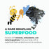 100% 8.47 oz K&A HONEY Organic Bracatinga Honey | USDA Certified Organic | Award-Winning Pure Honeydew | Raw Premium